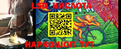 прущие грибы Новозыбков