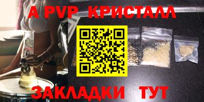 прущие грибы Новозыбков