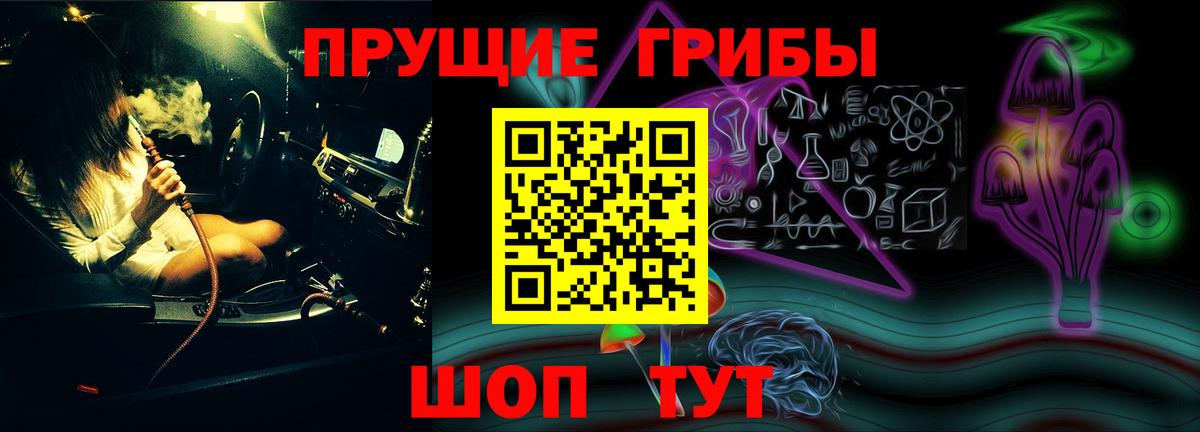 купить закладку  Псилоцибиновые грибы Cubensis  Вход с VPN  Щёлково  Псилоцибиновые грибы ЛСД 